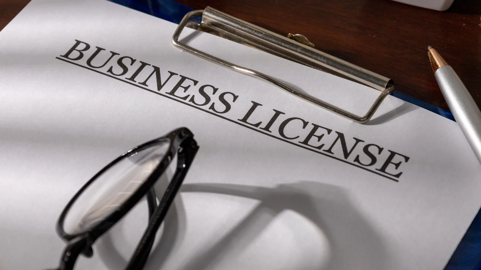 UAE Trade Licence guide